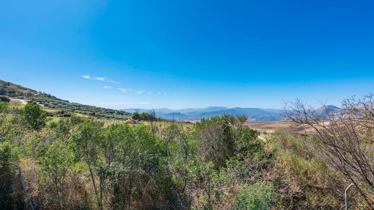 Los Olivos Antequera - Los Nogales By Ruralidays Luaran gambar